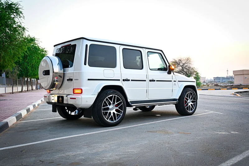 Brown Interior | G 63 AMG | Carbon Fiber63613738241666114