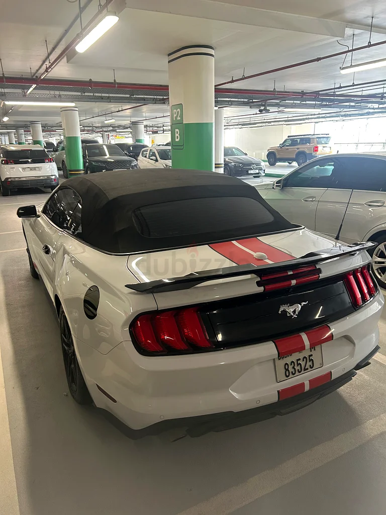 موستانج فورد 2019 إيكو بوست بريميوم قابل للطي – مواصفات أمريكية63612081835010111