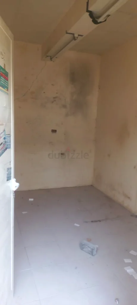 السيد محمود مورجي63822996108547112