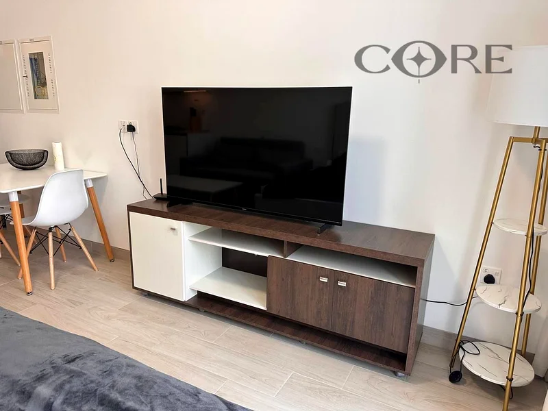 Bright & Spacious Modern Studio Apartment | Prime Location | Furnished63779188670209113