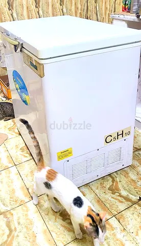 Deep Freezer GeneralTec 240 L ديب فريزر جنرال تك