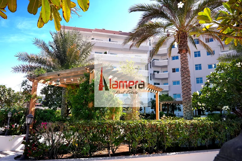 No Commission  High Demand For Rent Good ROI  | Burj View | Closed Kitchen | Near mosque63993499224706111