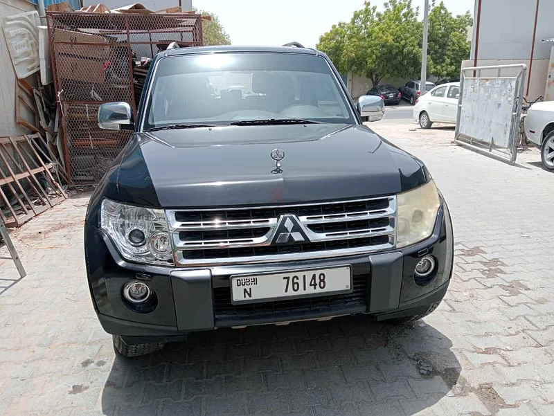 باجيرو - قيادة أنثى63612069154818110