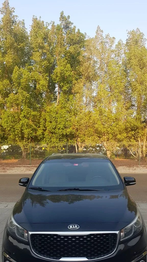 مالك أول63612077394305113