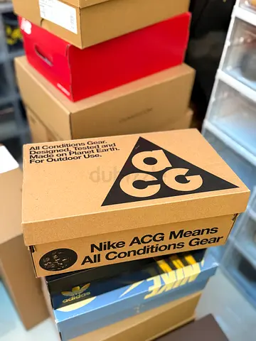 Nike ACG MOUNTAIN FLY 2 LOW