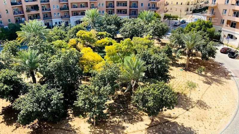 غرفتان نوم | زاوية | ديكينز سيركوس 363727861117570111