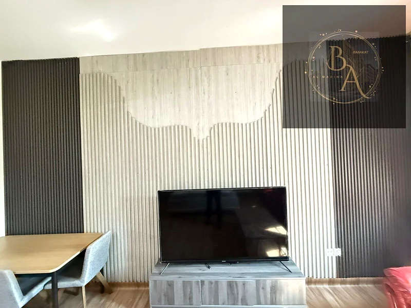 FULLY FURNISHED STUDIO MONTHLY BASIS IS AVAILABLE IN FRANCE CLUSTER , INTERNATIONAL CITY63832797984131114