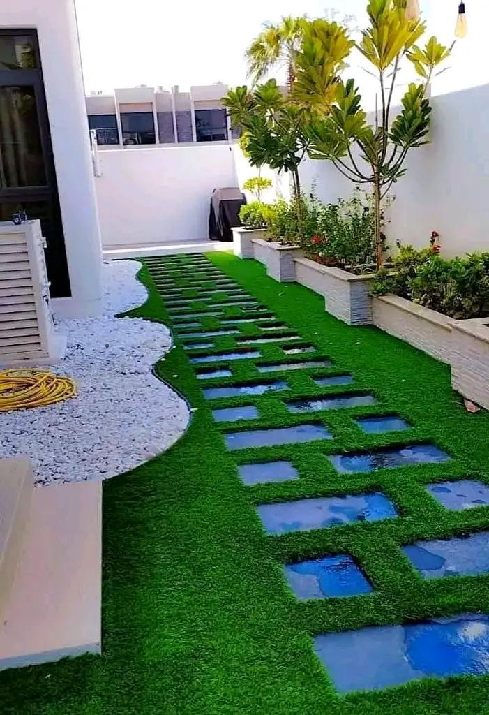 DPV_View_Image_2