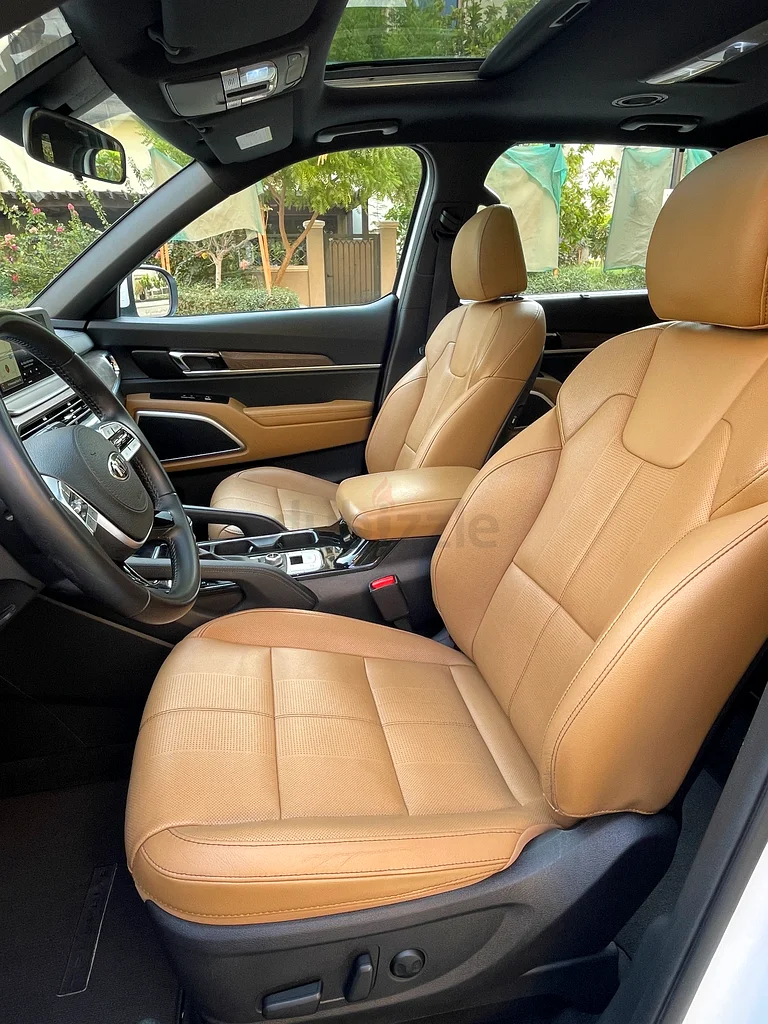 Telluride, GCC, 100% ORIGINAL PAINT (Dr using)63612077144067113