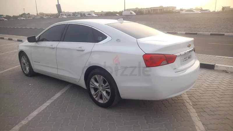 الشارقه63612066175618112