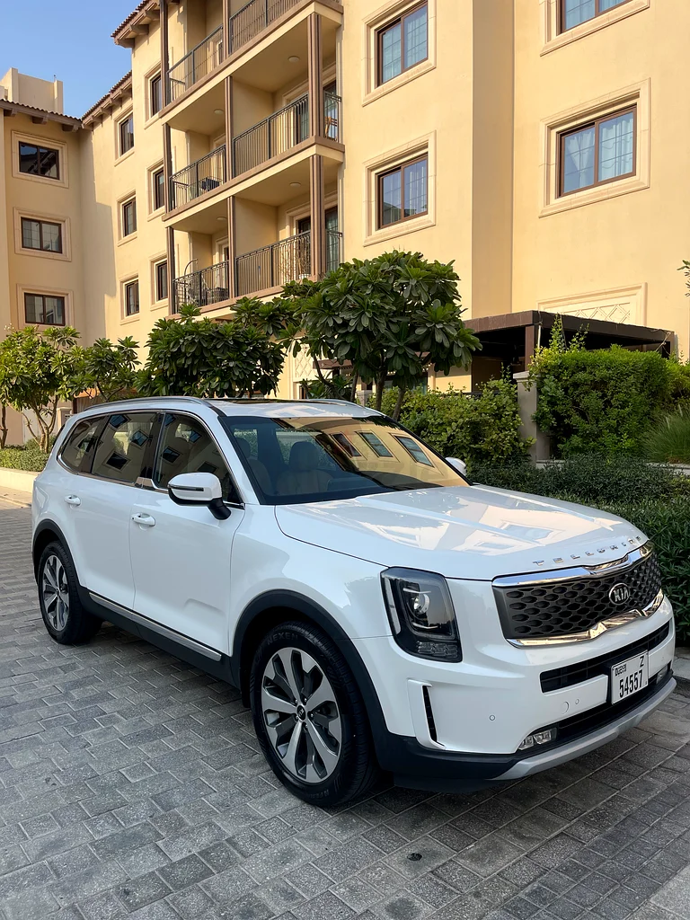 Telluride, GCC, 100% ORIGINAL PAINT (Dr using)63612077144067110