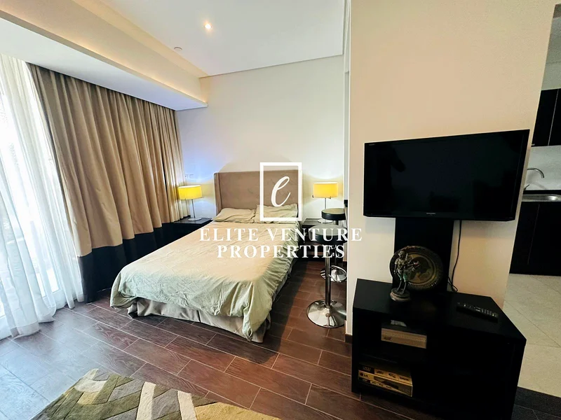 Fully Furnished Studio | Canal View | Vacant63734636030594111