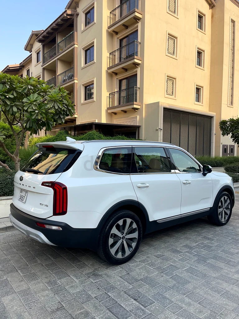 Telluride, GCC, 100% ORIGINAL PAINT (Dr using)63612077144067111