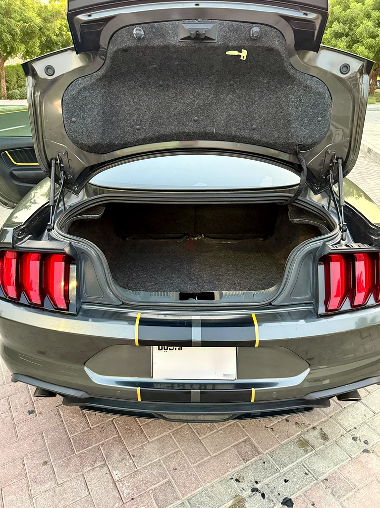 Ford Mustang63612081714563113
