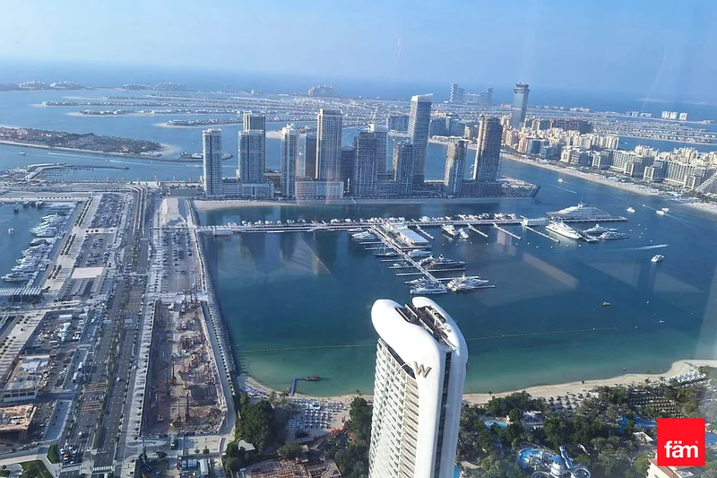 FULL PALM VIEW | MULTIPLE OPTIONS | UPGRADED63776933701121110