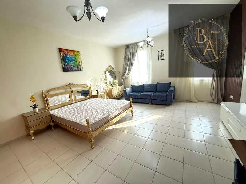 SUMMER OFFER ||FULLY FURNISHED STUDIO APARTMENT AVAILABLE IN FRANCE CLUSTER63832797992321111