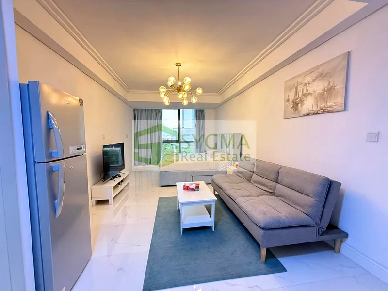 Highly Upgraded | Fully Furnished | Ready to move63987759048193110