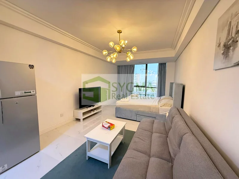 Highly Upgraded | Fully Furnished | Ready to move63987759048193111