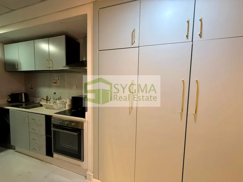 Highly Upgraded | Fully Furnished | Ready to move63987759048193113