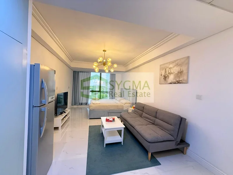 Highly Upgraded | Fully Furnished | Ready to move63987759048193112