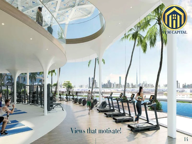 Local Developer | 50/50 Pp | 2K Lagoon | Virtual Experience Available63963967212035112
