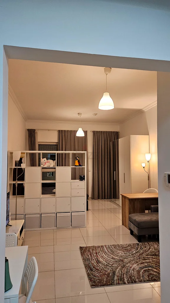 Spacious studio! NO COMISSION! Monthly rent, fully furnished, bills included63830944015361111