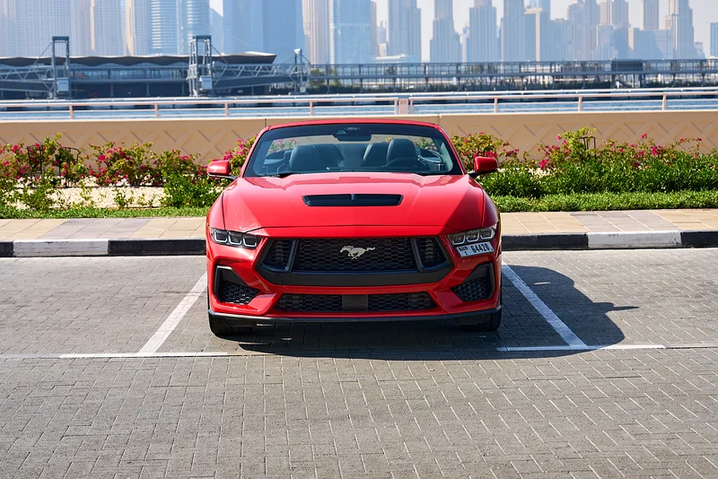 V8 GT, 5.063612082050817111