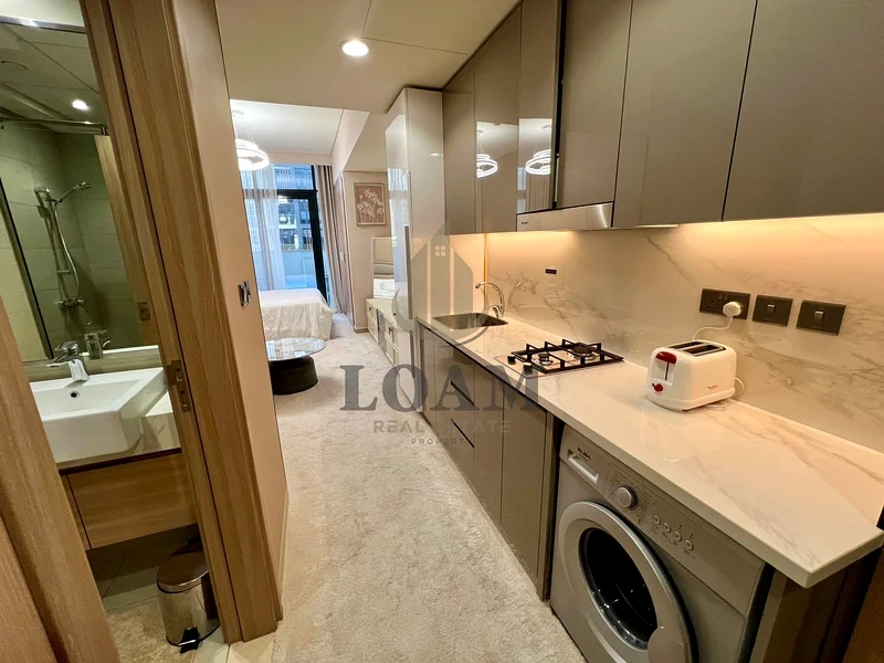 Luxury Furnished | Upgraded | Huge Area63976718723329111