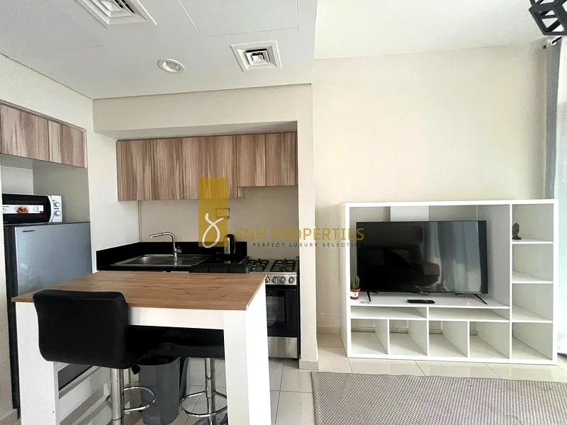 READY TO MOVE IN | FULLY FURNISHED | GRAB NOW63738481634435113