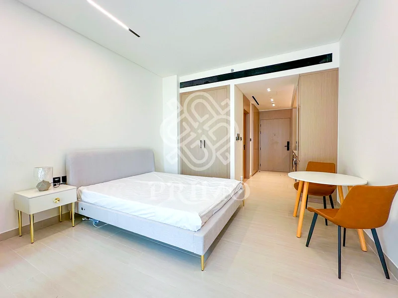 Fully Furnished | Studio | Amenity Views63785681399555111