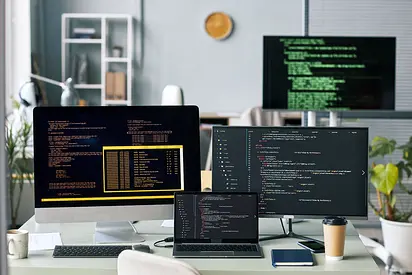 Freelance Software Developer in Dubai