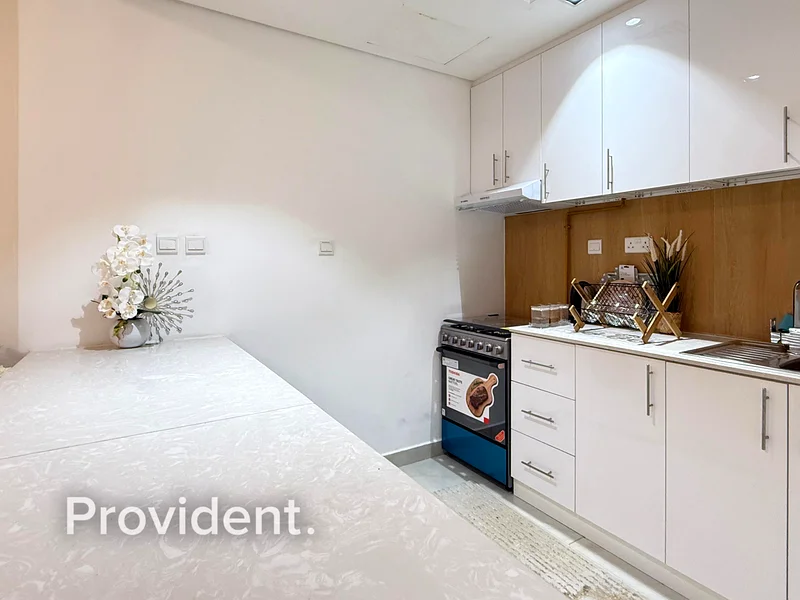 Furnished | Studio | Move-in Ready | 4 Cheques63782516821890112