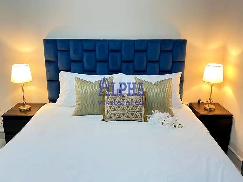 Bills and Wifi Included | Fully Furnished Studio63814456236162112