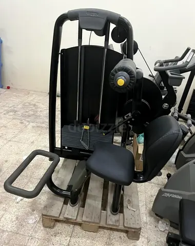 Technogym Lower Back