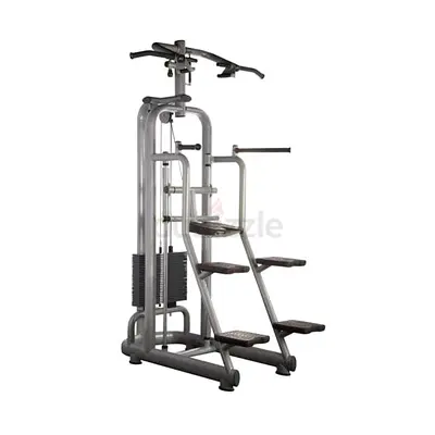 Technogym Easy Chin/Dip M987 – Assisted Pull-Up  Dip Machine