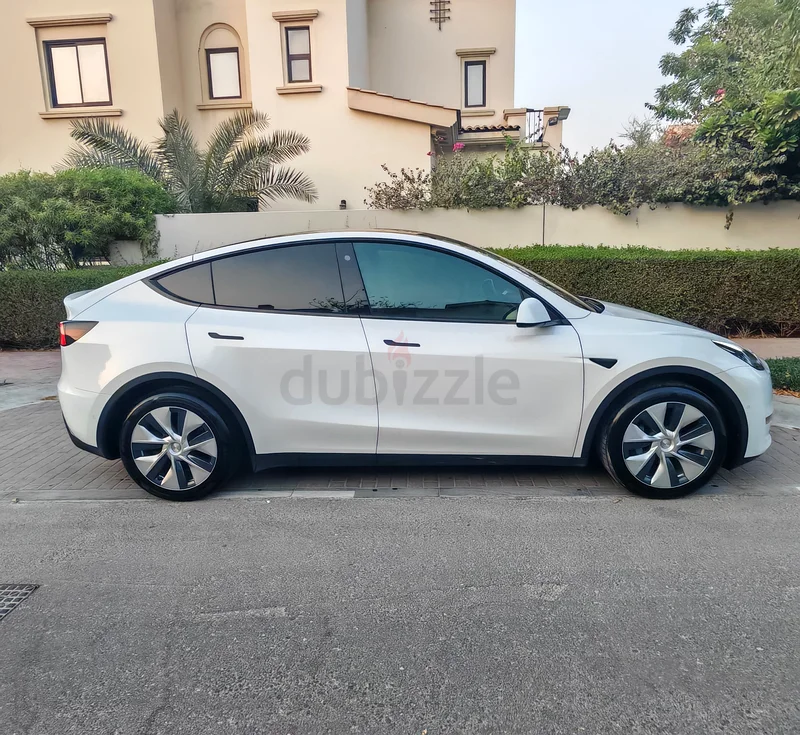 تيسلا موديل واي 2022 بدون حوادث63612059064578112