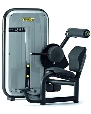 Technogym Element Lower Back /جهاز تكنوجيم إيليمنت للظهر السفلي