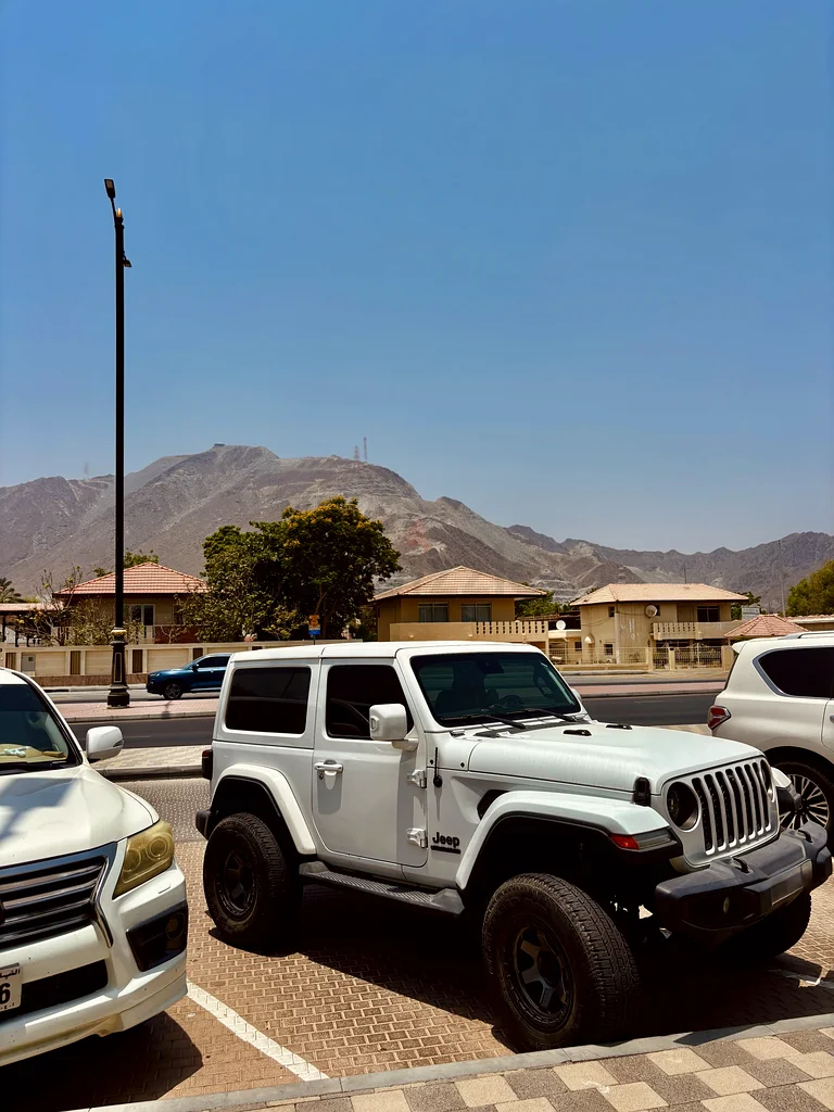 Jeep Wrangler Sahara Plus Special Edition 202163612087426307111