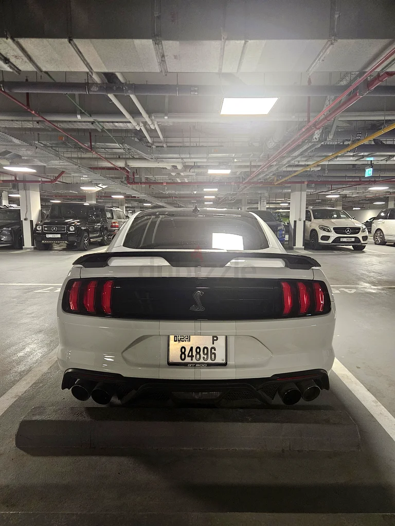 Shelby GT500 - Warrany till 2028, Service till 202663612081787266114