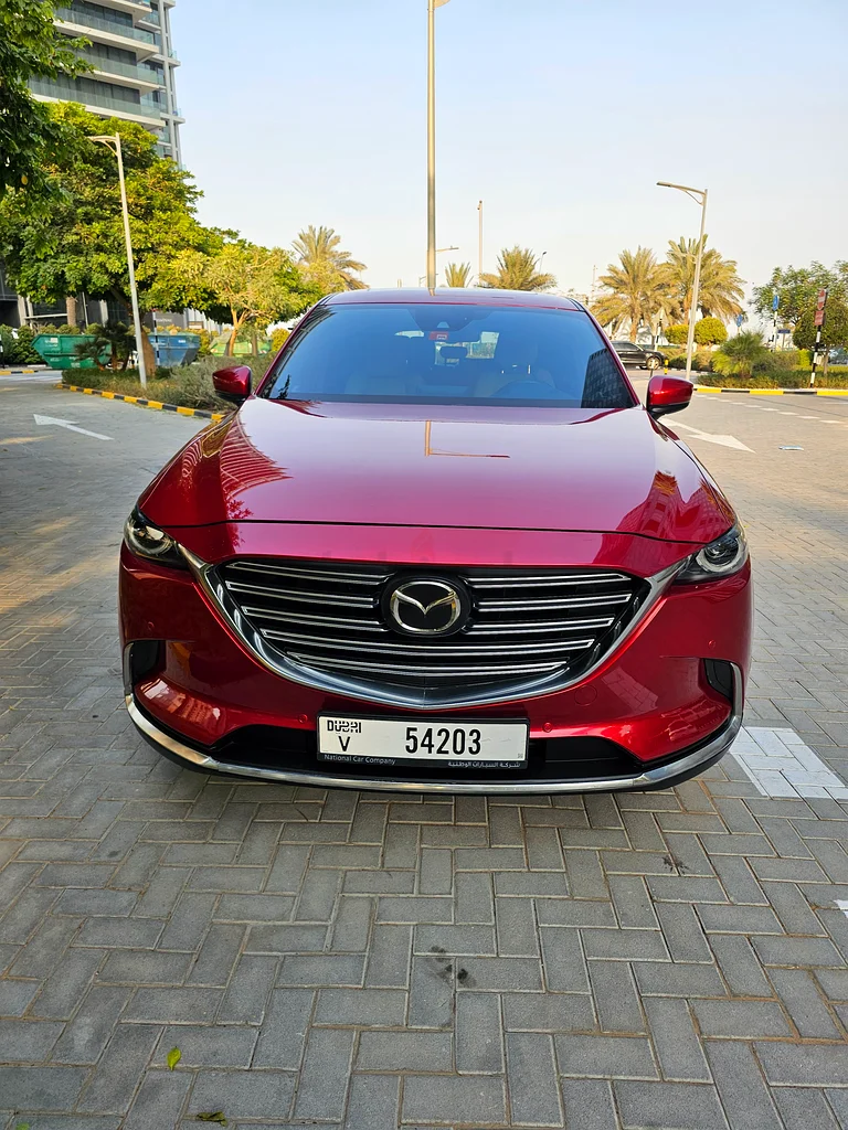 حالة ممتازة! تم الحفاظ عليها بدقة!63613466148993114