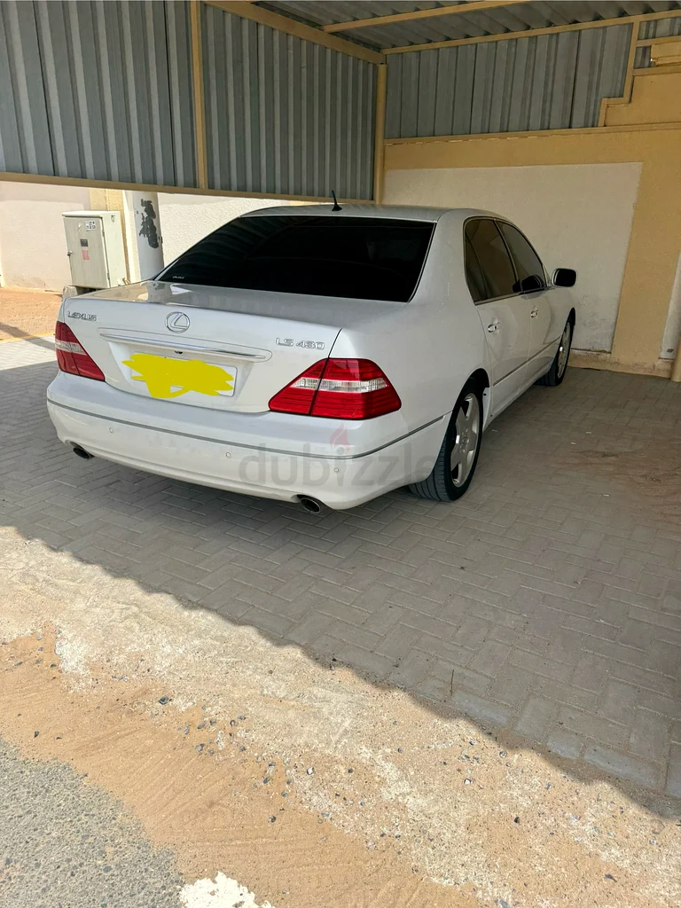 المدام - الشارقة63612073267201114