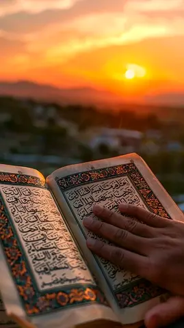 ARABIC AND QURAN TUITION ••••°°°○○○