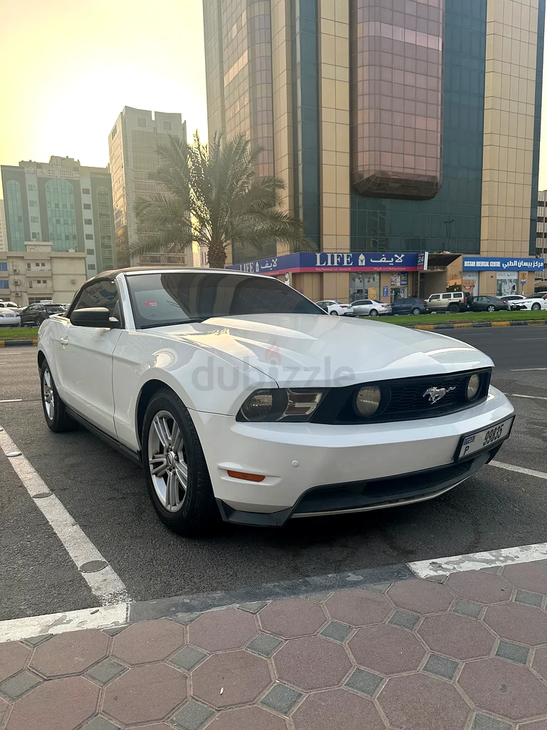 Mustang v6 Convertible63612081681922114