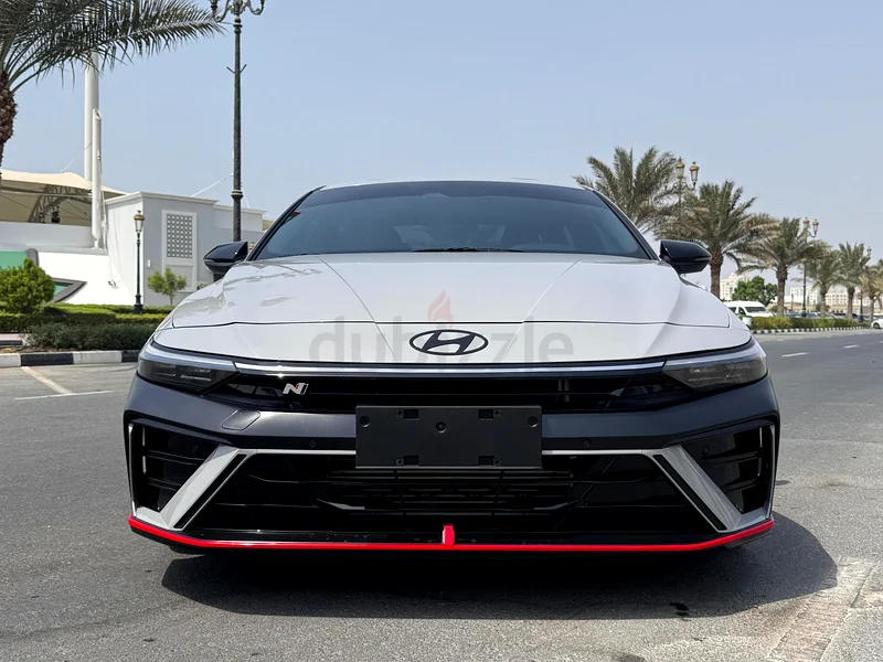 ELANTRA N 202563612087167618112