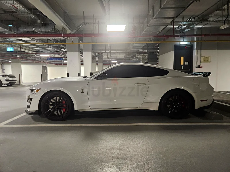 Shelby GT500 - Warrany till 2028, Service till 202663612081787266112