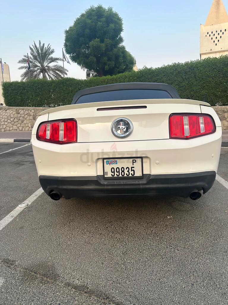Mustang v6 Convertible63612081681922113