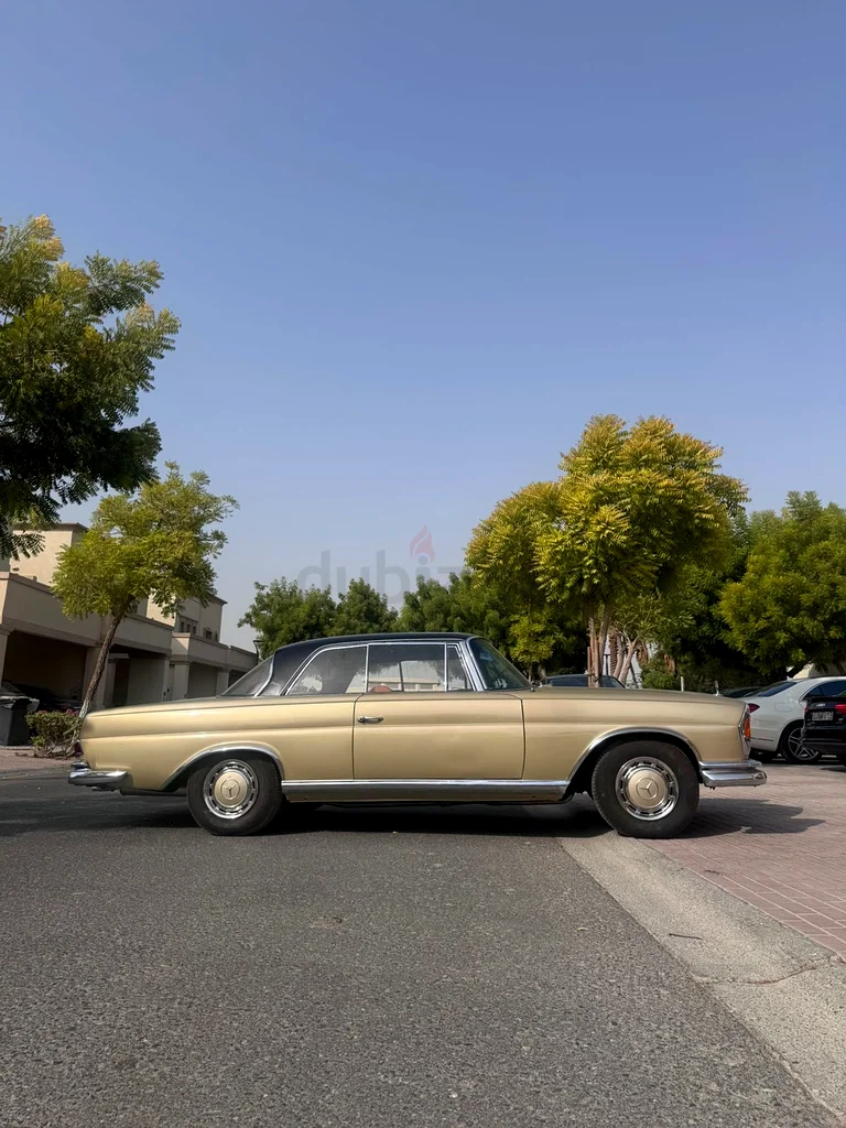 Mercedes W111 220SE, GCC, Collector Condition63613134672769113