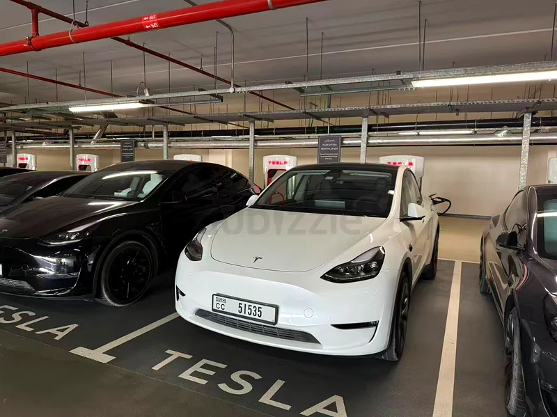 Used Tesla Model Y 2025 Long Range636120592593951128