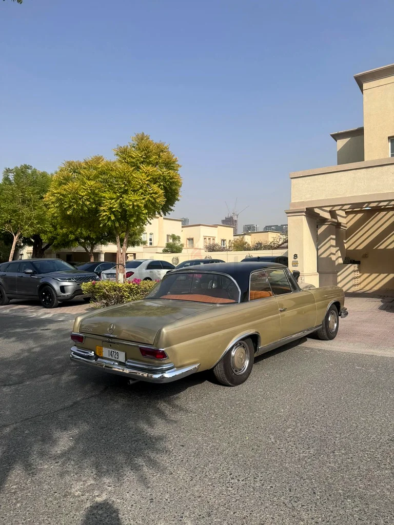 Mercedes W111 220SE, GCC, Collector Condition63613134672769114