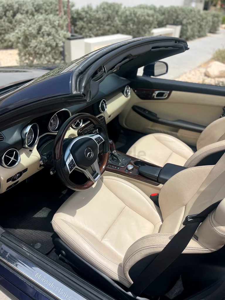 2013 Mercedes SLK35063612087996931113